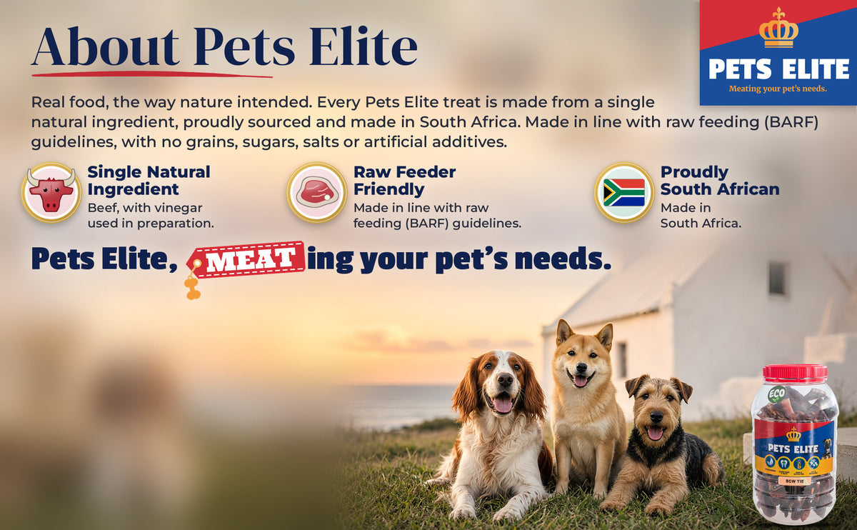 Three dogs of different breeds by a whitewashed West Coast cottage at sunset: About Pets Elite