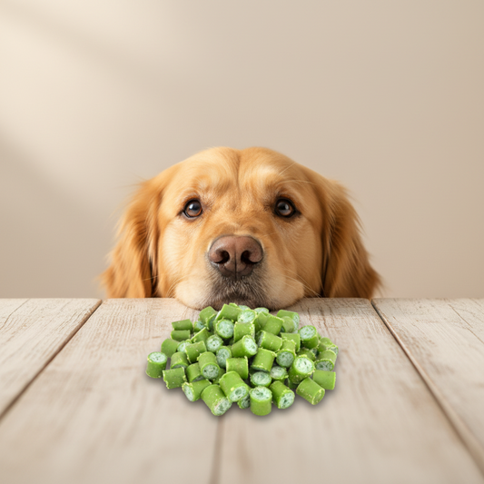 Pets Elite Mint Drops, treats shown out of the pack — Pets Elite Mint Drops pork collagen dog treat