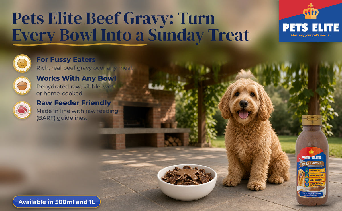 Goldendoodle at a Sunday braai patio beside a bowl topped with Pets Elite Beef Gravy