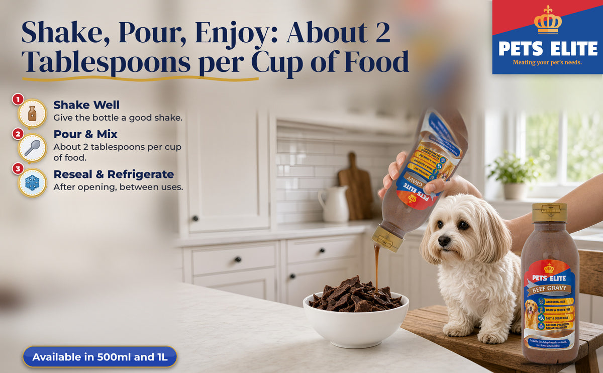 A hand pouring Beef Gravy from a plain jug over a bowl for a watching Havanese