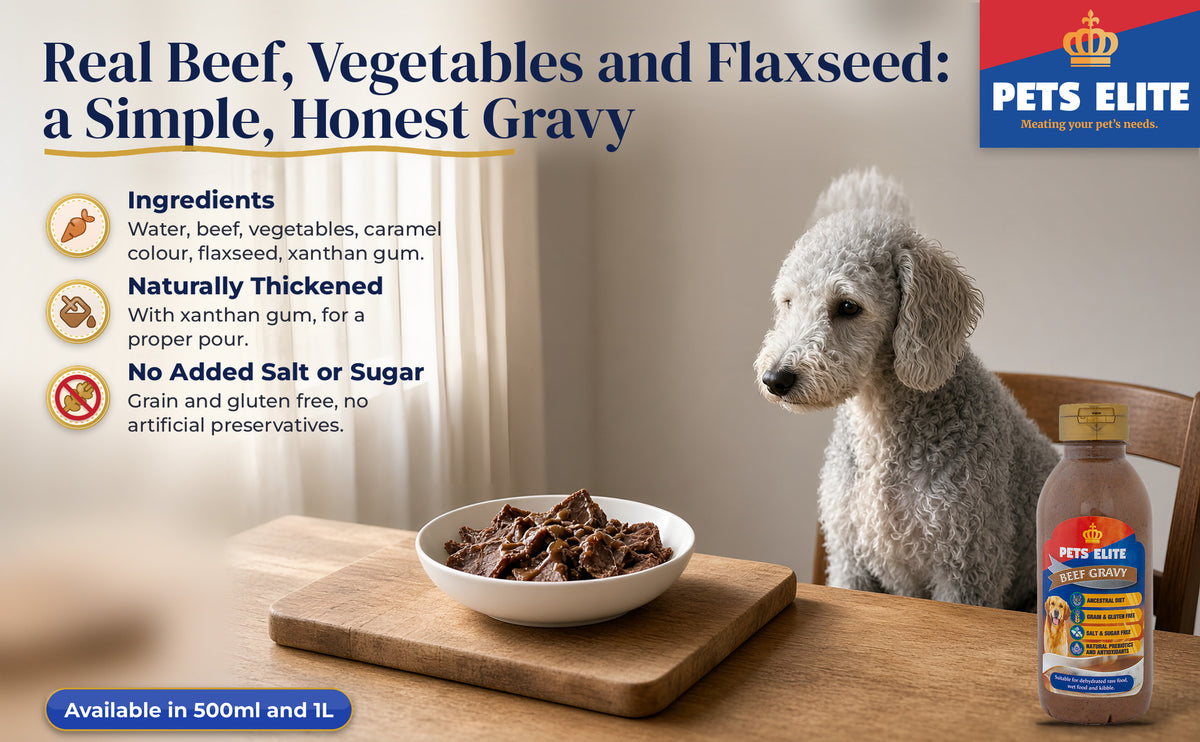 Bedlington Terrier at a dining table with a bowl and a jug of Beef Gravy on a wooden board