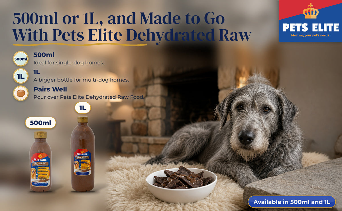 Senior Irish Wolfhound on a sheepskin beside a bowl of dehydrated raw with Beef Gravy