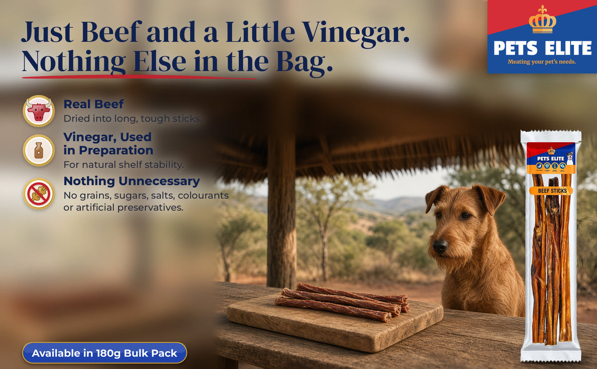 Irish Terrier at a bushveld lodge table with Beef Sticks on a wooden board