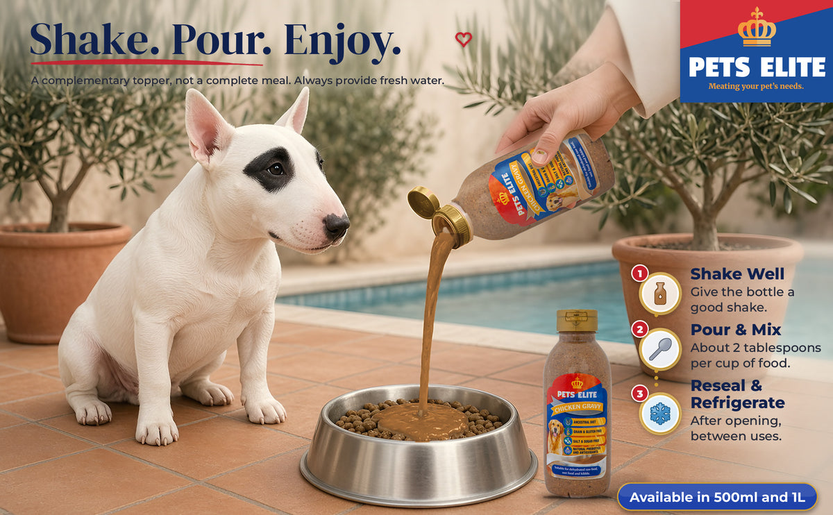 Hand pouring chicken gravy from the Pets Elite bottle over kibble for a Bull Terrier, 3 easy steps