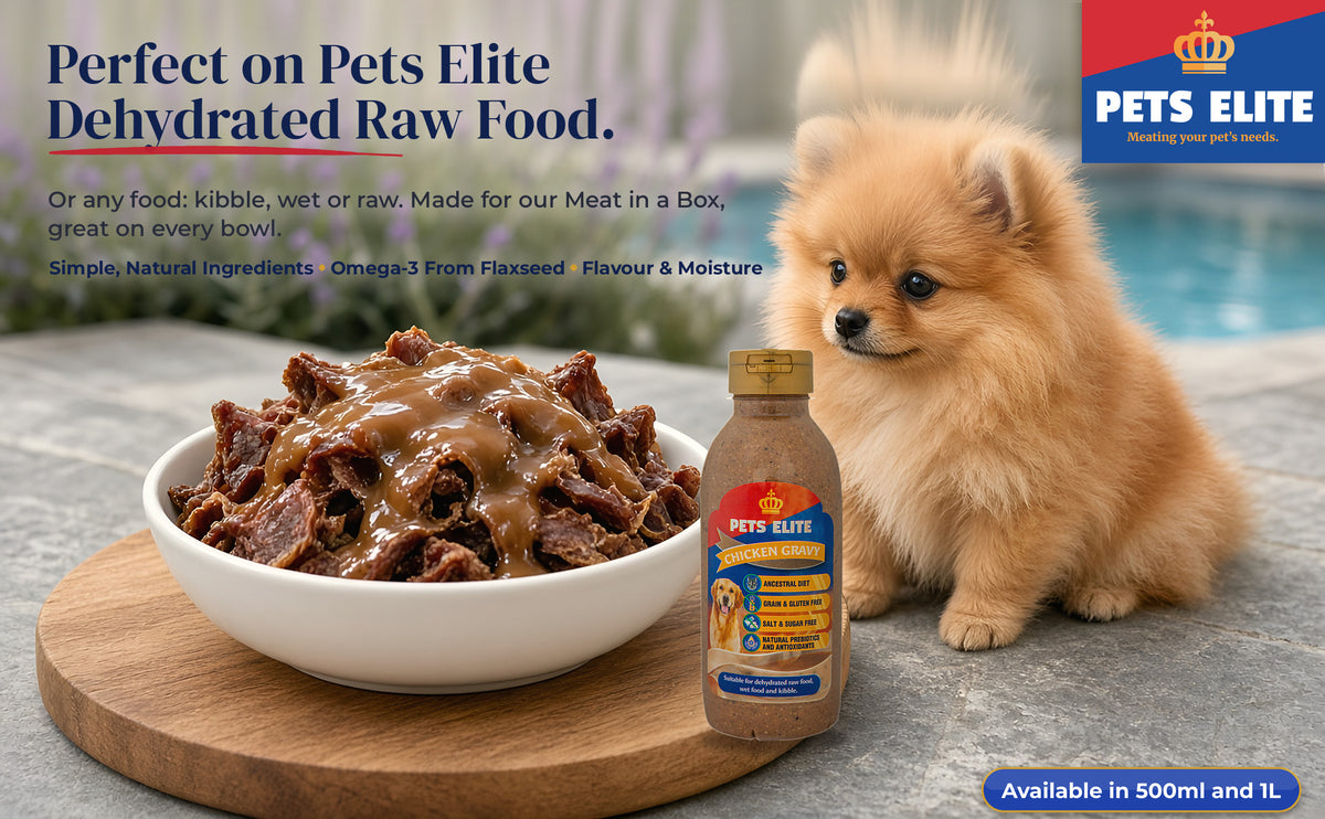 Pomeranian puppy by Pets Elite Dehydrated Raw Food topped with gravy, and the Chicken Gravy bottle