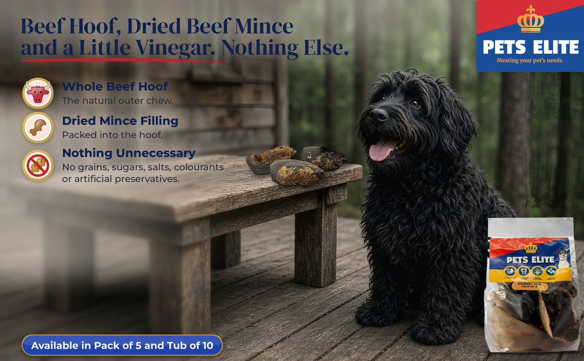 Happy Black Russian Terrier by a rustic forest-cabin table with three Gourmet Hooves on top