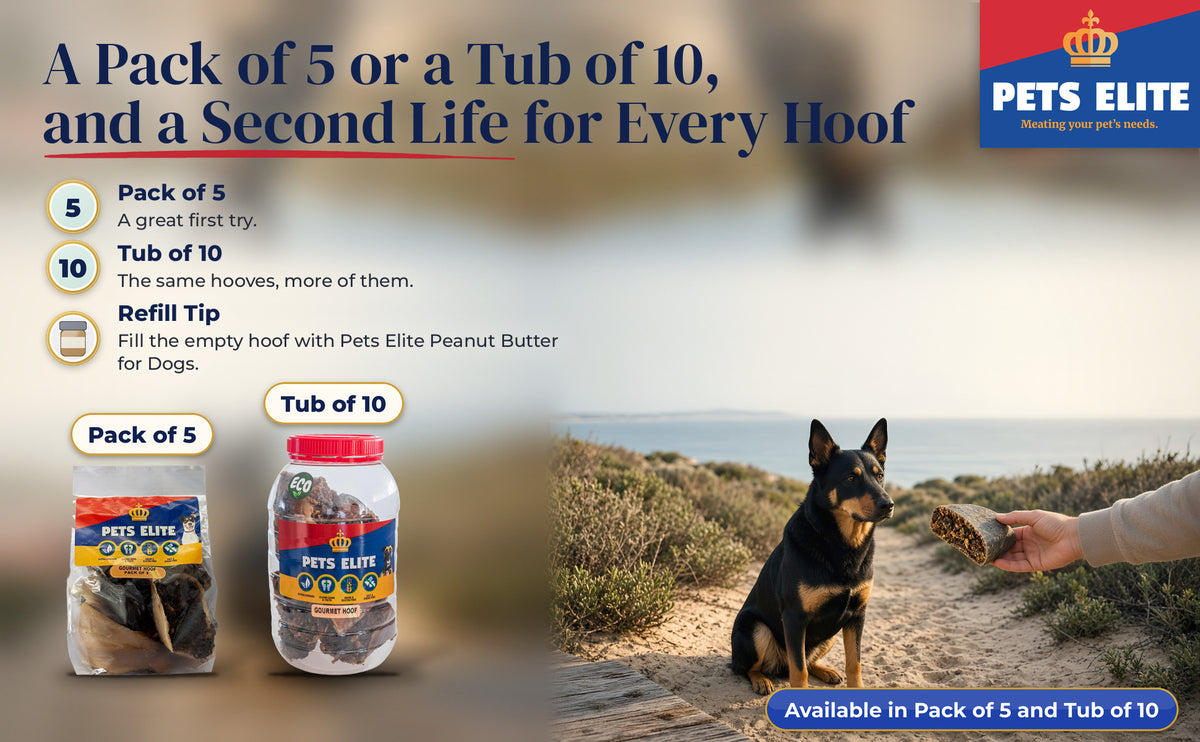 A hand offering a Gourmet Hoof to a Beauceron on a Sedgefield dune path