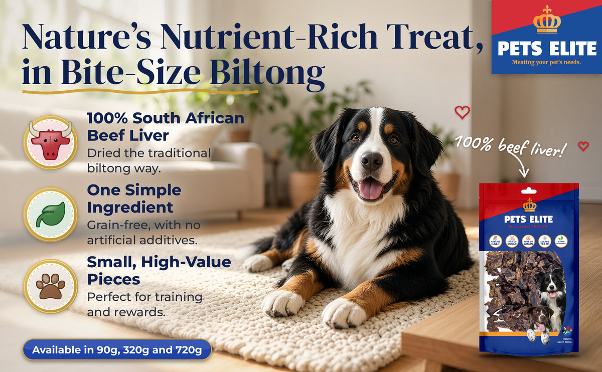 Bernese Mountain Dog on a rug beside a pack of Pets Elite Liver Biltong Bite Size