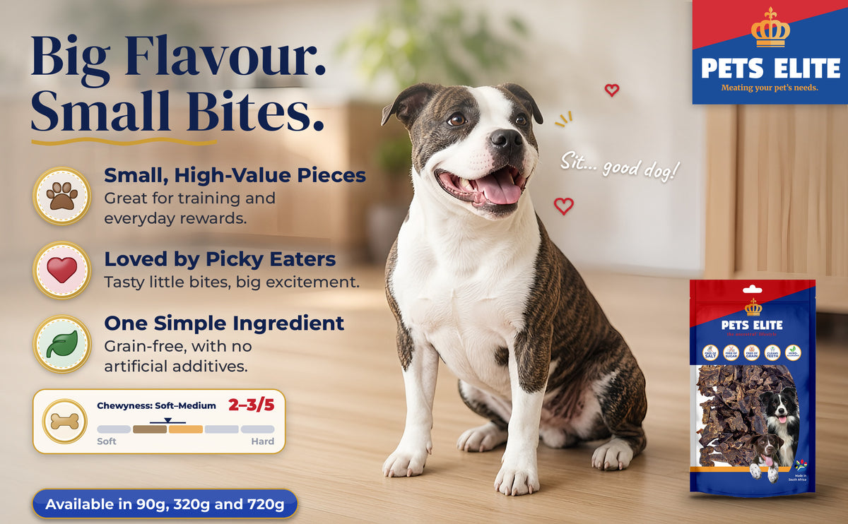 Staffordshire Bull Terrier by a Pets Elite Liver Biltong pack, Chewyness rating 2 to 3 out of 5