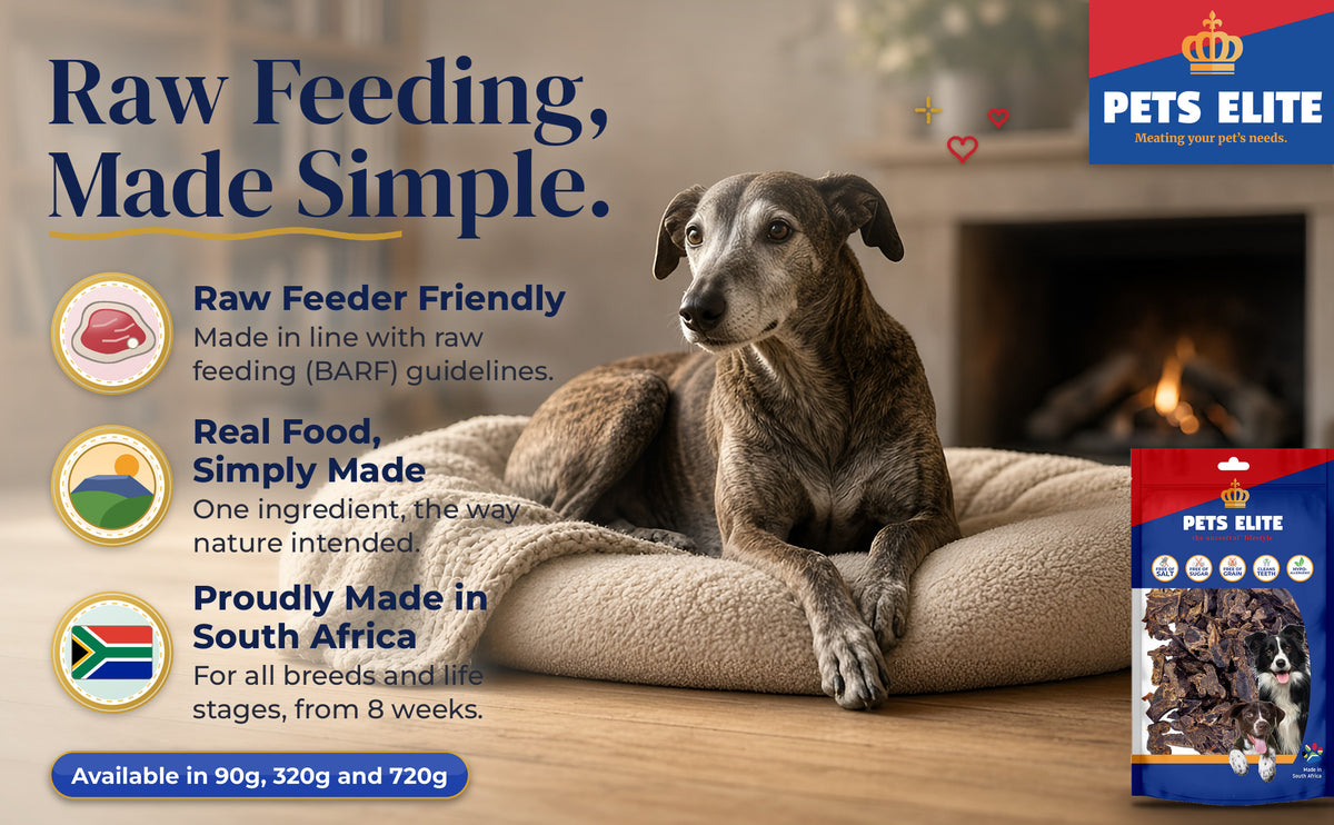 Senior Greyhound resting on a dog bed by the fireplace with the Pets Elite liver biltong pack