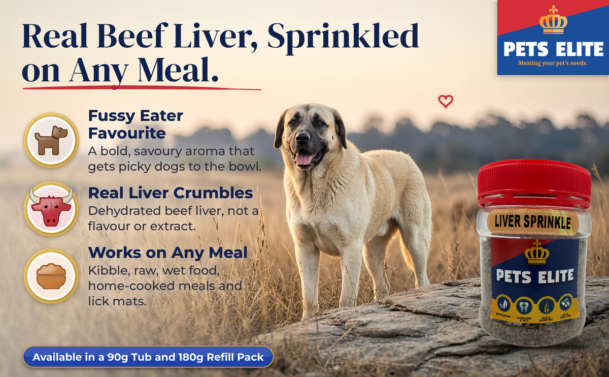 Anatolian Shepherd in golden Highveld grassland beside the Pets Elite Liver Sprinkle tub