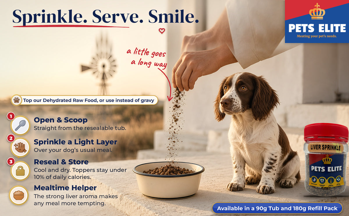 Hand sprinkling liver crumbles over a dog's bowl beside a Springer Spaniel: 3-step guide