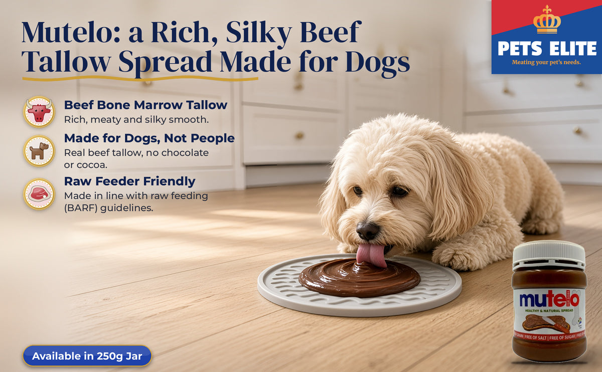 Cream Maltipoo licking a mat spread with Pets Elite Mutelo in a sunny white kitchen