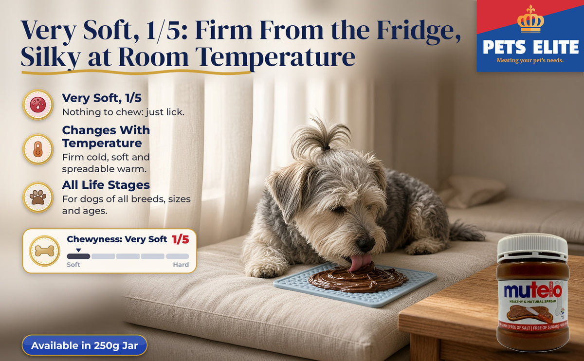 Dandie Dinmont Terrier licking a Mutelo-spread mat on a bedroom window seat, 1 of 5