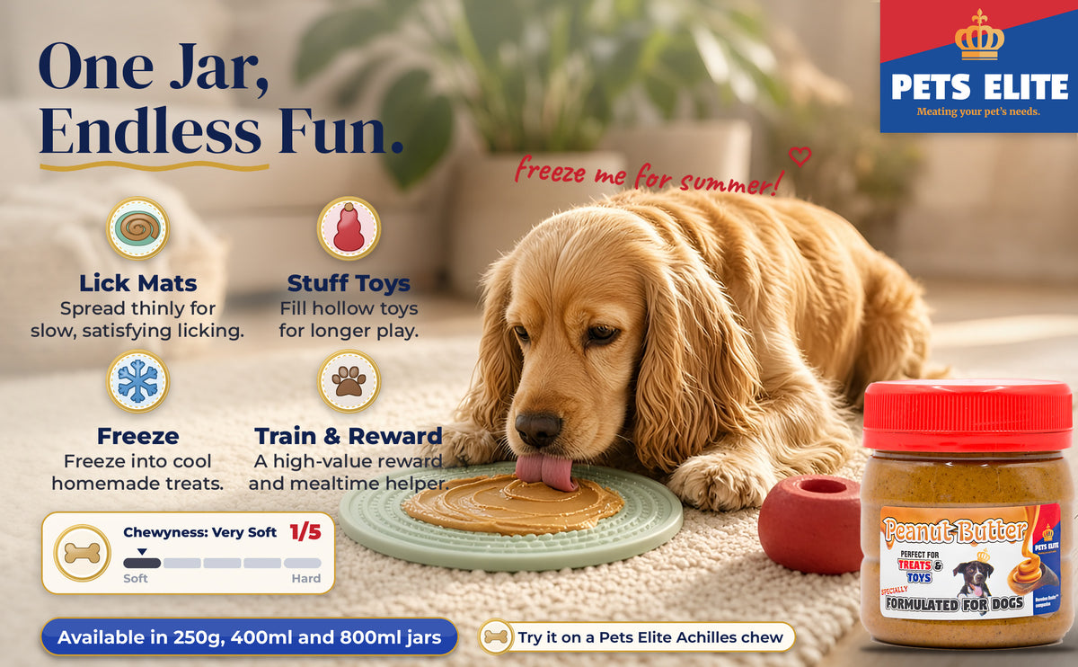 Cocker Spaniel at a peanut butter lick mat, four ways to use it and a Chewyness rating of 1 out of 5