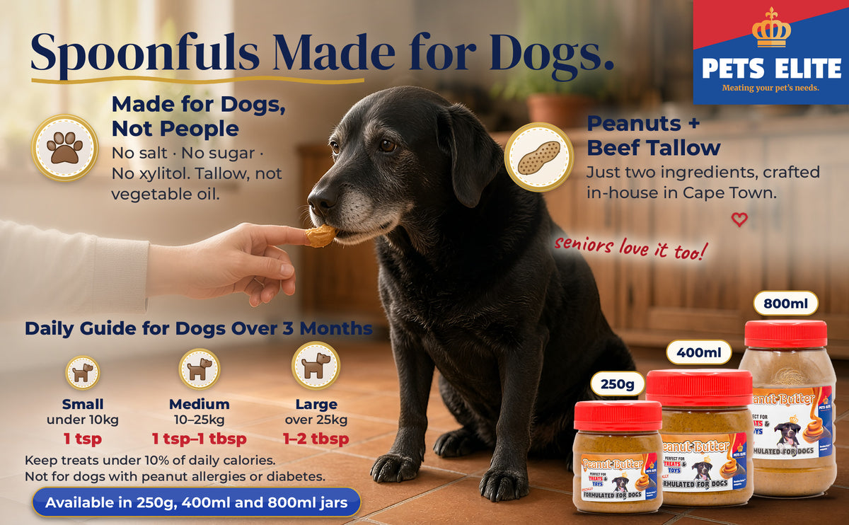 Senior Labrador taking peanut butter from a fingertip, feeding guide and 250g, 400ml, 800ml jars