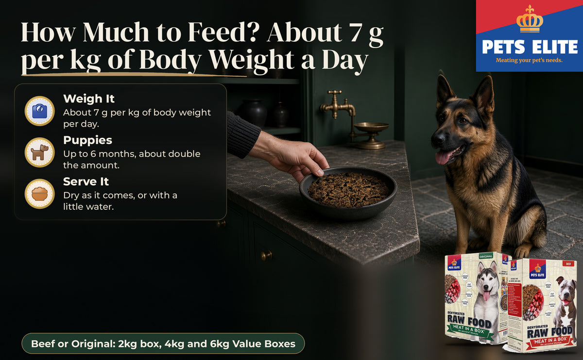 A hand serves a stoneware bowl of dehydrated raw food to a German Shepherd in a dark scullery