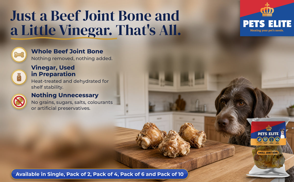 German Wirehaired Pointer at a kitchen counter with three joint bones on a wooden board