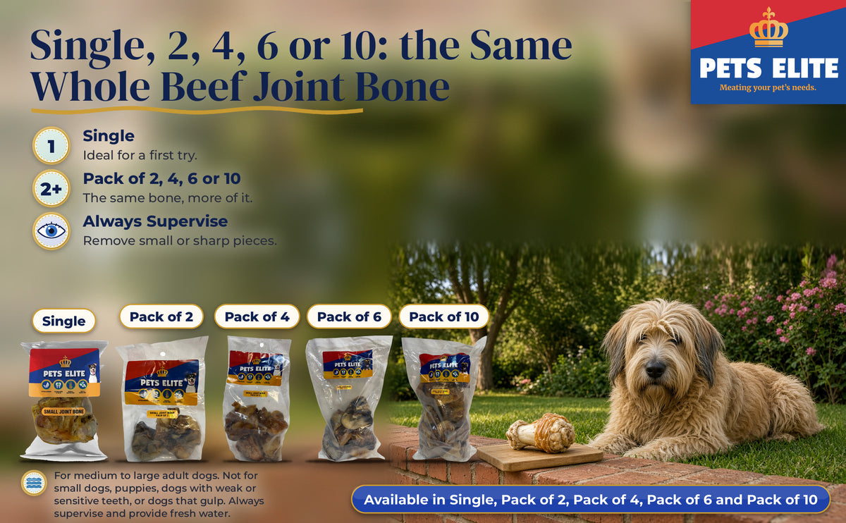 Fawn Briard in a Johannesburg garden beside Small Joint Bone Single, Pack of 2, 4, 6 and 10 packs