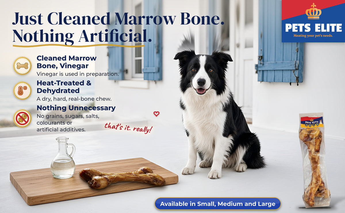 Border Collie on a seaside stoep by a cleaned marrow bone on a board, with the Pets Elite pack