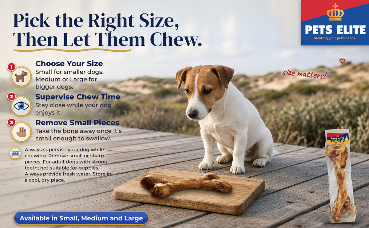Jack Russell on a dune boardwalk by a marrow bone on a board, with a 3-step size and chewing guide