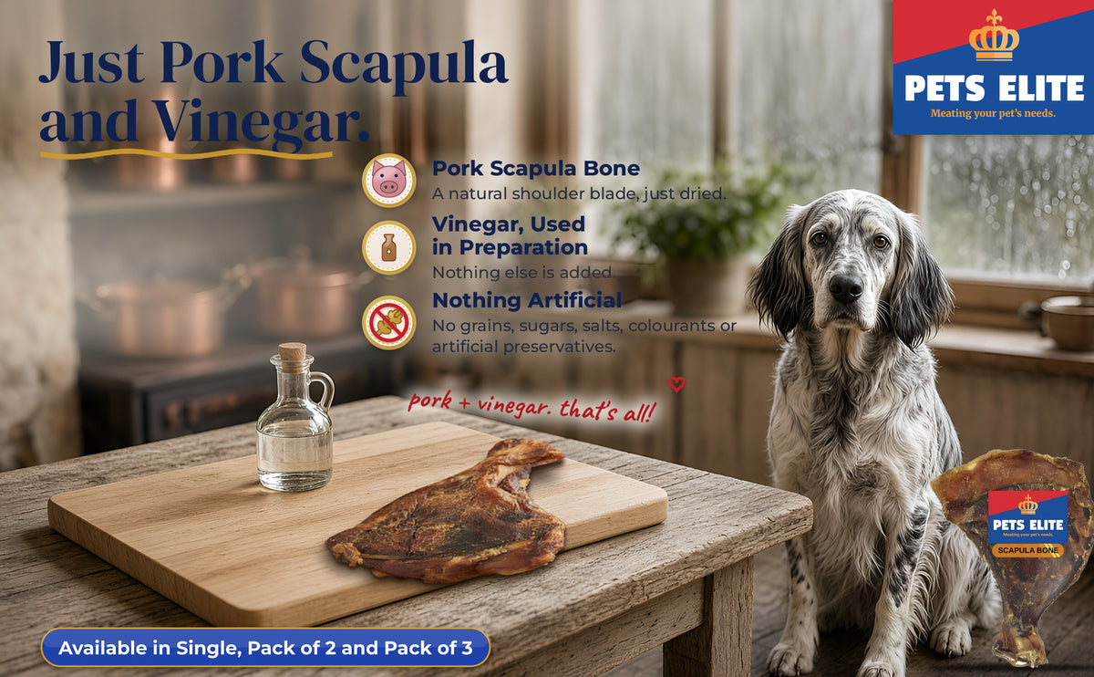 English Setter in a farmhouse kitchen with a dried pork scapula bone on a board and Pets Elite pack