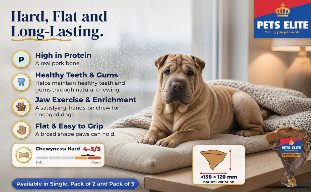 Shar Pei on a window seat by the Pets Elite Scapula Bone, with a Chewyness rating of 4 to 5 out of 5