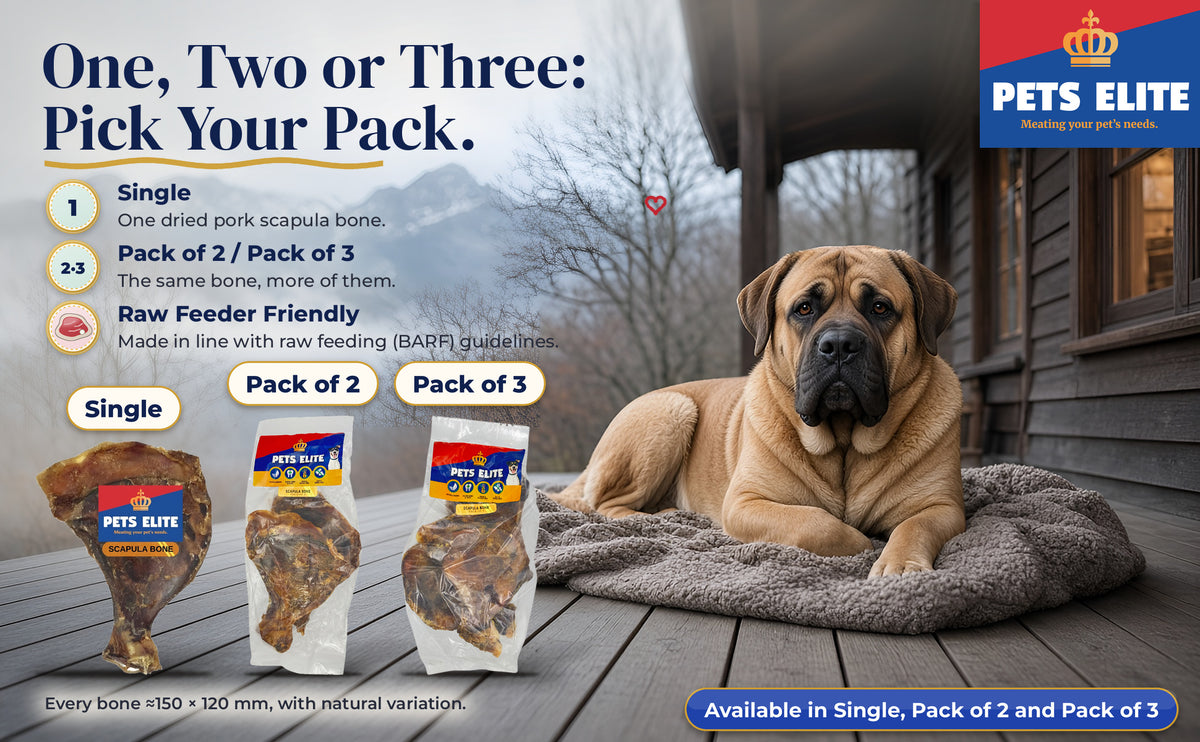 Pets Elite Scapula Bone Single, Pack of 2 and Pack of 3 beside an English Mastiff on a wooden deck