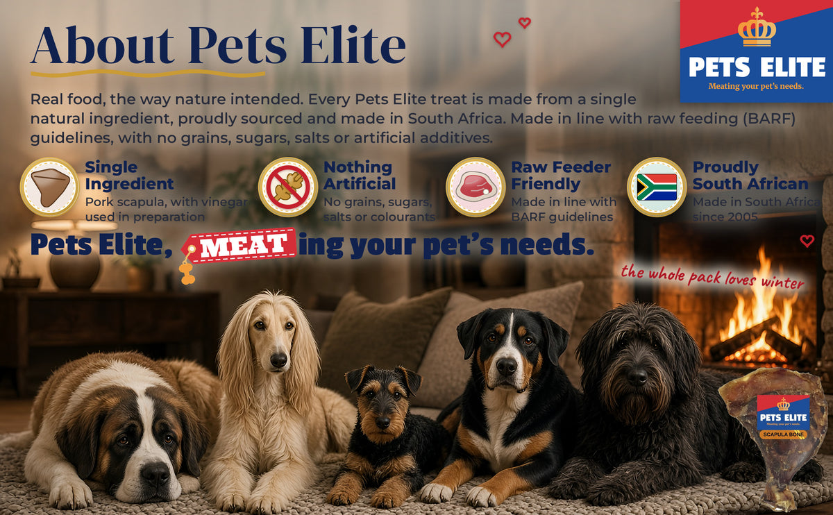Five dogs of different breeds relaxing by a fireplace in a cosy winter lounge: About Pets Elite