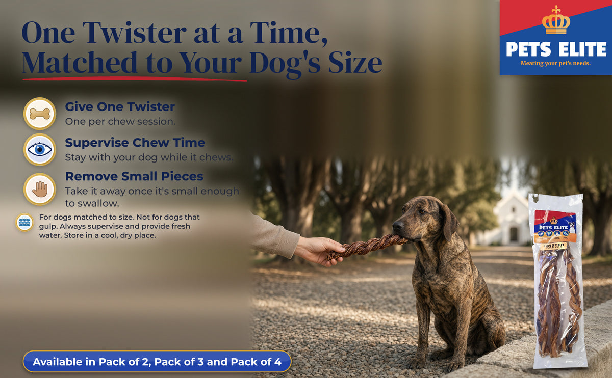 A hand offering a Twister chew to a brindle Plott Hound on an oak-lined farm avenue