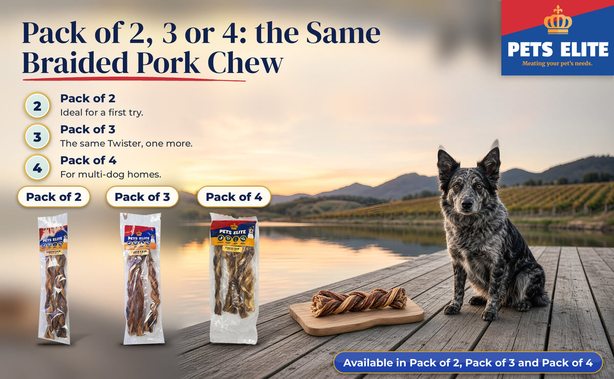 Mudi on a Winelands jetty at sunset with Twister packs: Pack of 2, Pack of 3 and Pack of 4