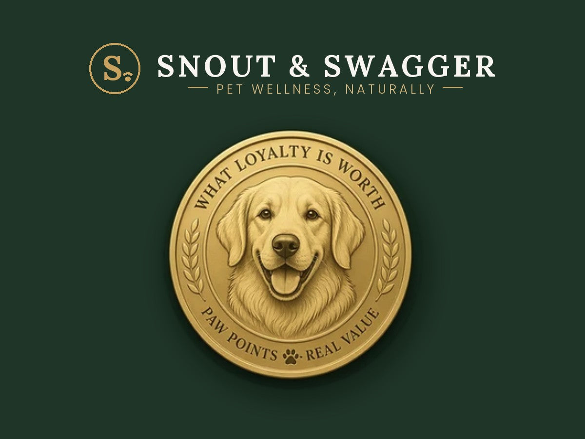 Paw Points loyalty coin — Snout & Swagger