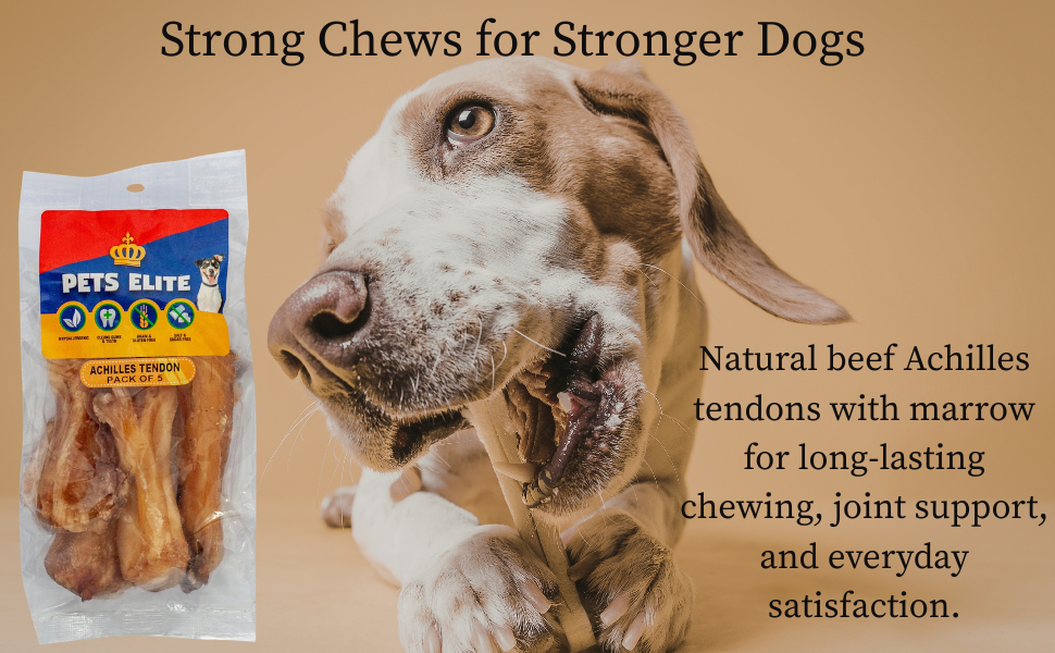Pets Elite Achilles Heel Pack of 5, product information panel (view 1 of 6) — natural beef achilles tendon dog chew from Snout & Swagger