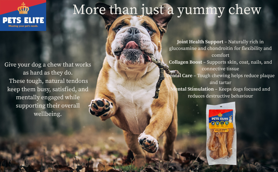 Pets Elite Achilles Heel Pack of 5, product information panel (view 6 of 6) — natural beef achilles tendon dog chew from Snout & Swagger