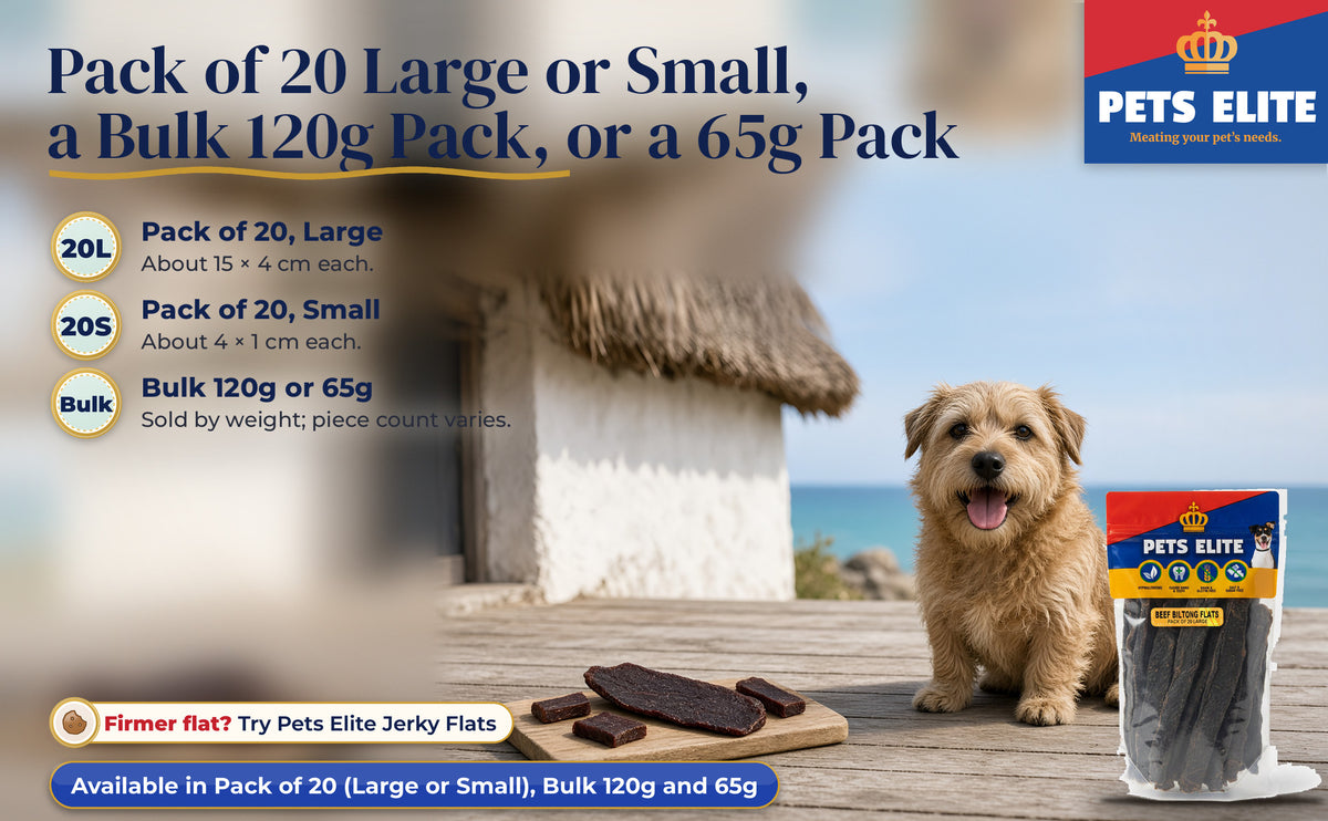 Glen of Imaal Terrier on an Arniston cottage deck with Beef Biltong Flats on a small board