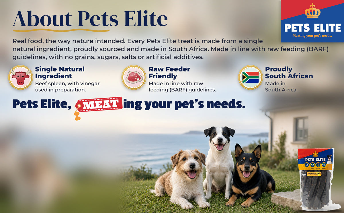 Three dogs of different breeds on a Hermanus garden lawn above the sea: About Pets Elite