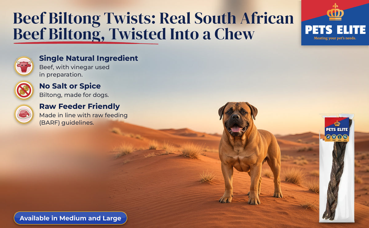 Boerboel on a red Kalahari dune at golden hour beside Pets Elite Beef Biltong Twists