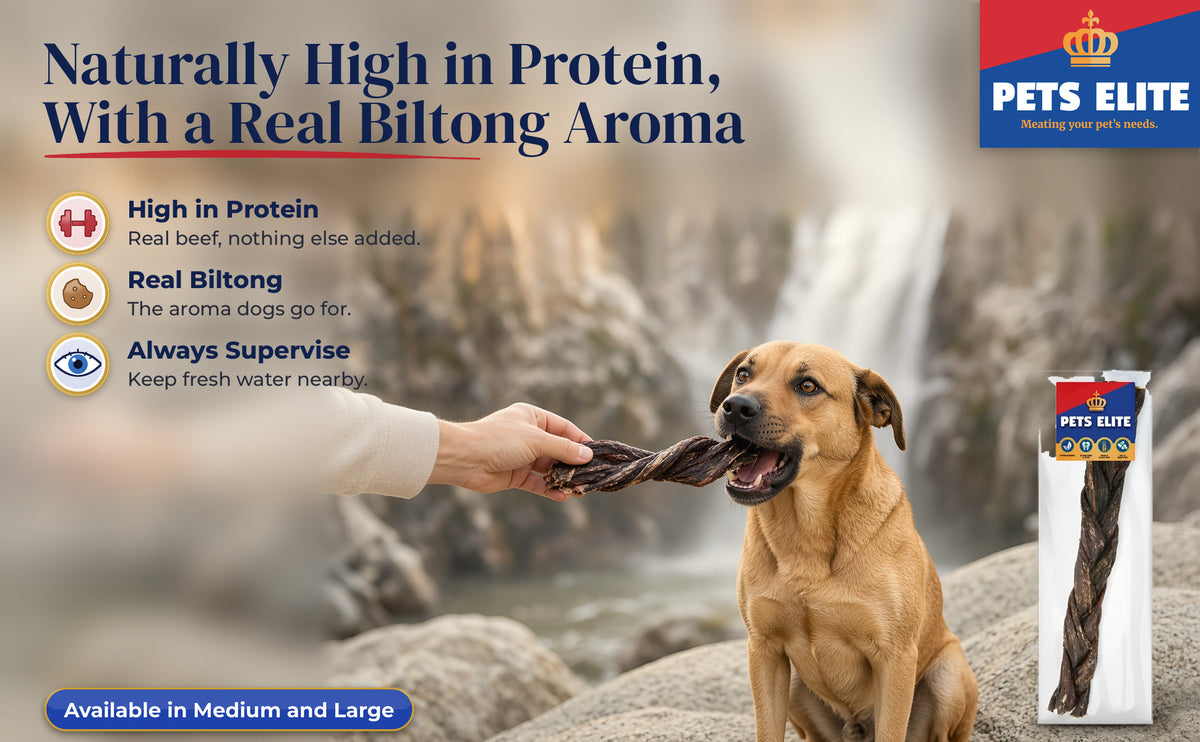 A hand offering a Beef Biltong Twist to a Black Mouth Cur on Augrabies granite