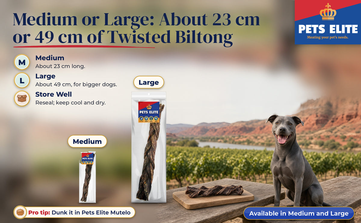 Beef Biltong Twists Medium and Large packs beside a Thai Ridgeback at a Kakamas vineyard table