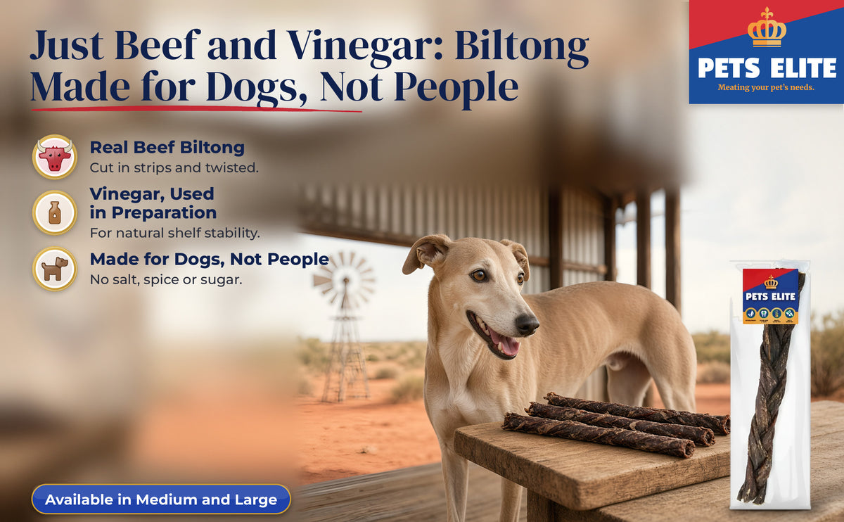 Sloughi at a Kalahari guest-farm stoep table with Beef Biltong Twists on a wooden board