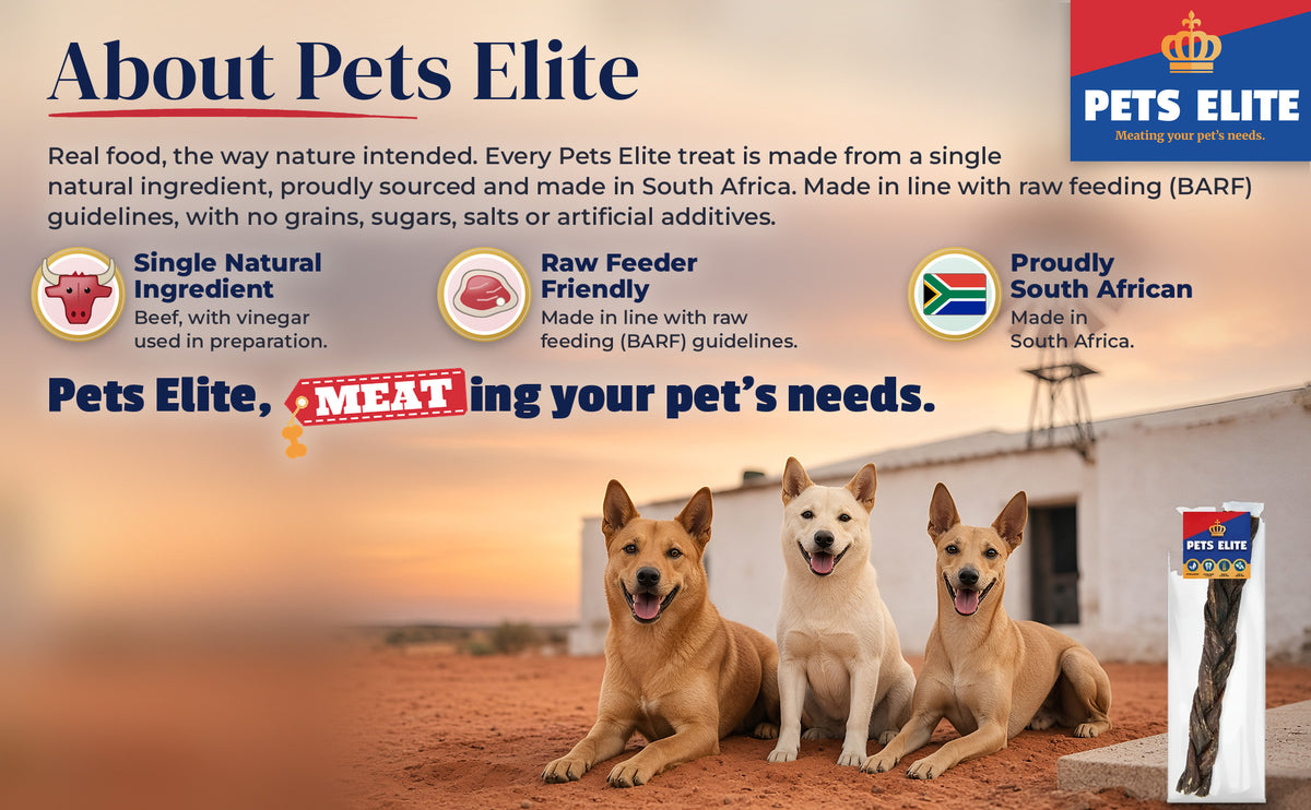 Three dogs of different breeds by a Kalahari farmhouse and windmill at sunset: About Pets Elite