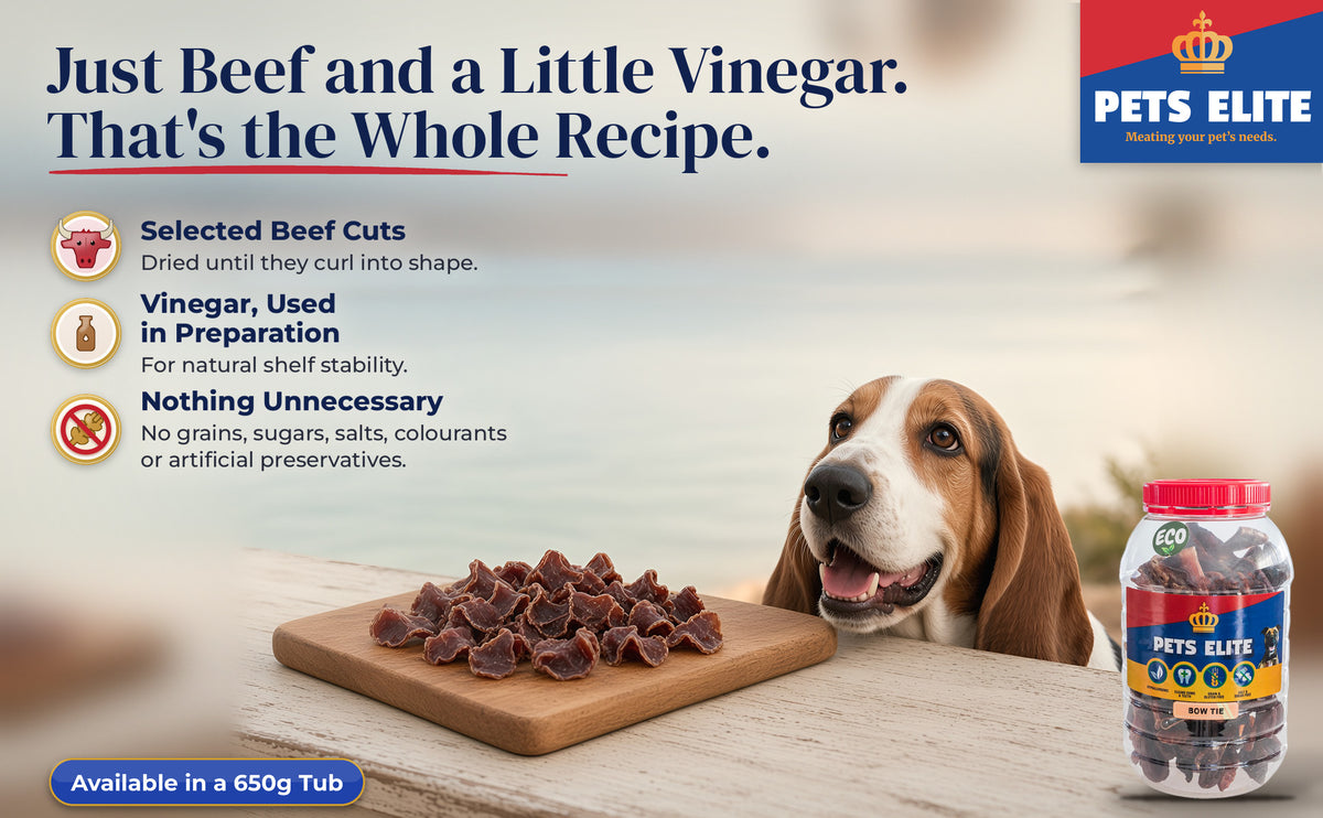 Basset Hound at a Langebaan lagoon stoep table with Beef Bow Tie pieces on a wooden board