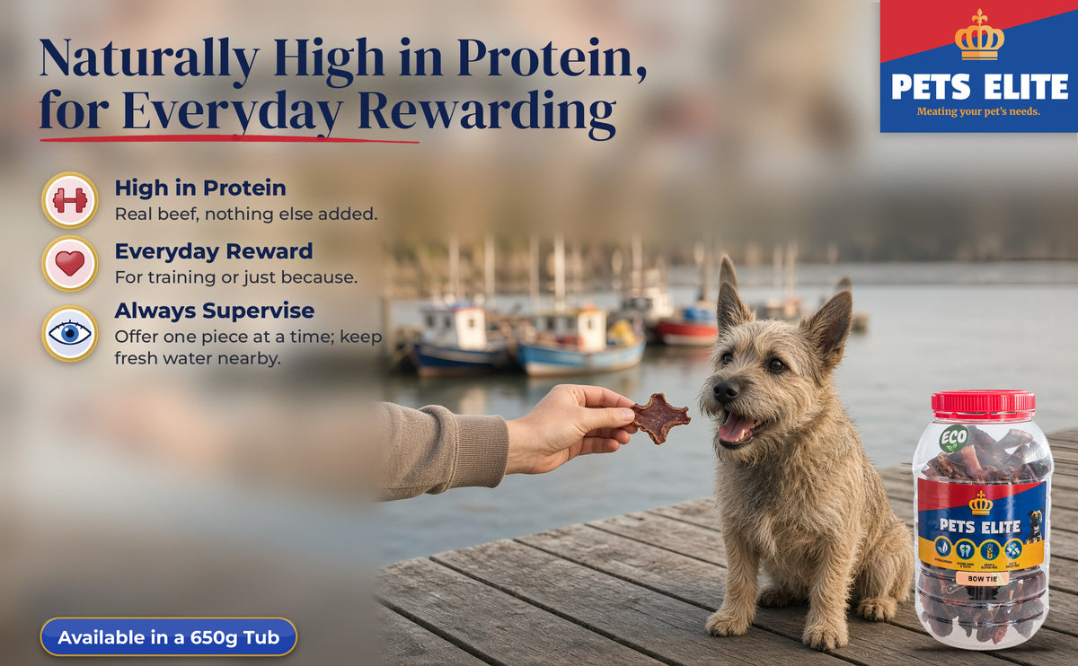 A hand offering Beef Bow Tie to a Berger Picard on a Velddrif estuary jetty