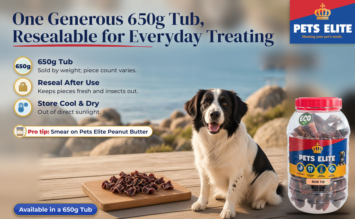 Stabyhoun on a Jacobsbaai beach-house deck with a heap of Beef Bow Tie pieces on a small board