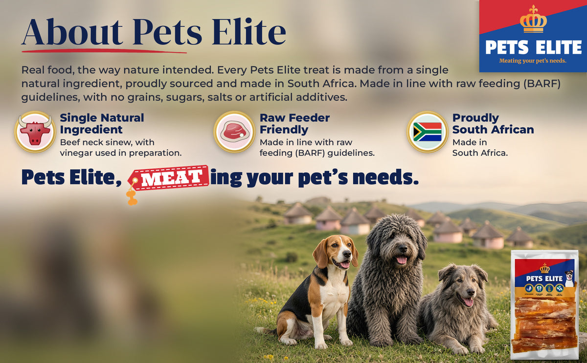 Three dogs of different breeds on green Wild Coast hills with rondavels: About Pets Elite
