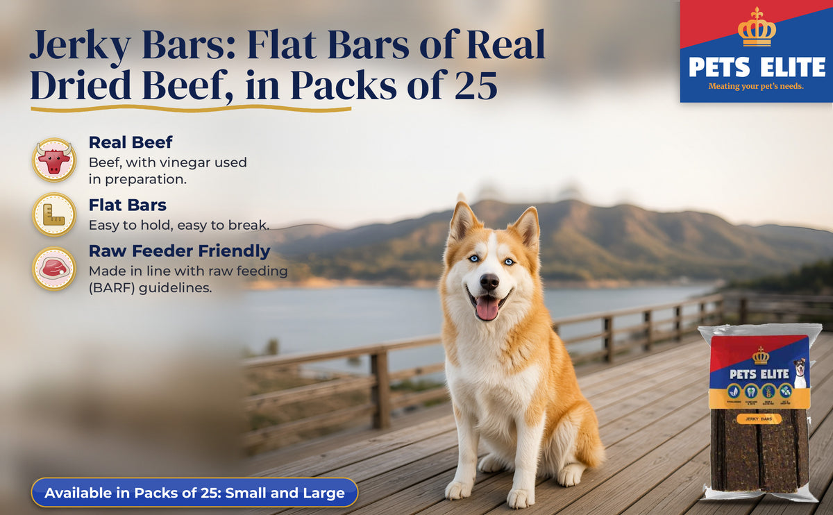 Goberian on a Hartbeespoort deck above the dam with Pets Elite Jerky Bars