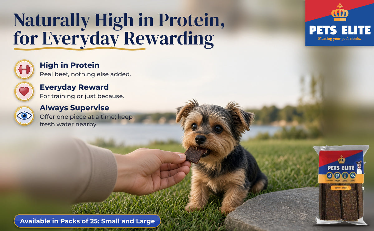 A hand offering a piece of Jerky Bar to a Morkie on a lawn by Hartbeespoort Dam