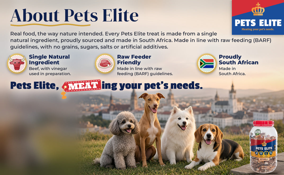 Four dogs of different breeds on a hilltop lawn above Makhanda: About Pets Elite
