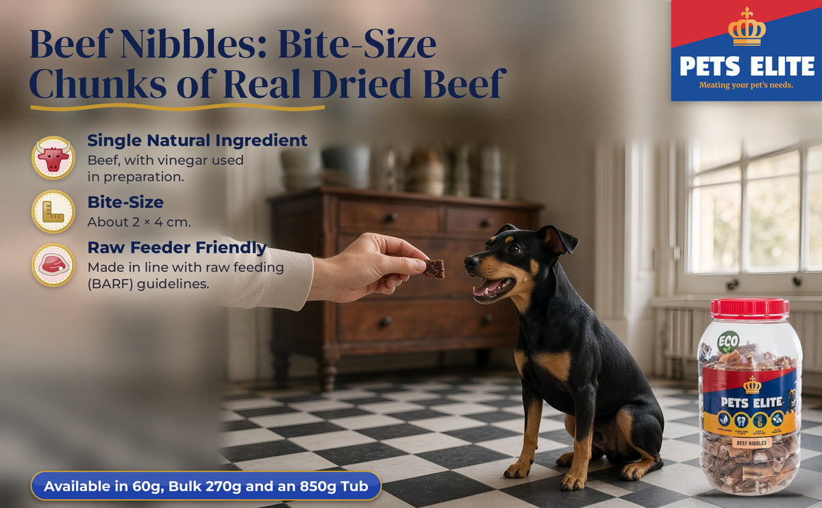 A hand offering a Beef Nibble to a Manchester Terrier in a Makhanda terrace kitchen