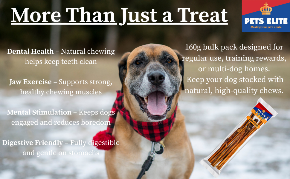 Pets Elite Beef Sticks, product information panel (view 1 of 3) — natural beef stick dog chew from Snout & Swagger